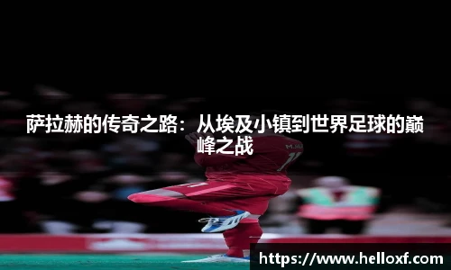 篮球直播